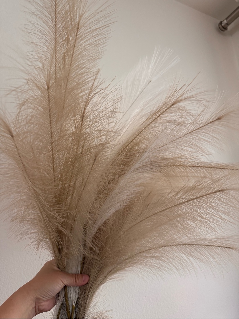 Crate&Barrel Natural Tan and White Bird Perch Grass Spray (set of 2)